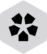 Nzcb Studio 4 nzcb studio homestar